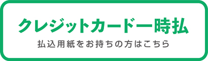 クレジットカード一時払